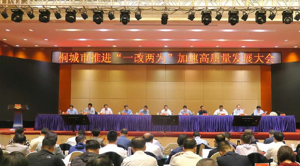 桐城市推进“一改两为”加速高质量发展大会